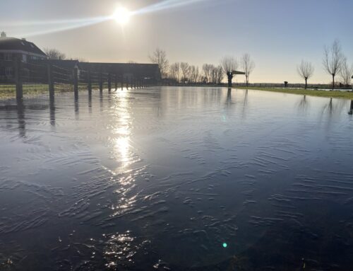 IJsbericht 10-01-2025: Alles ziet er anders uit, als de zon schijnt!