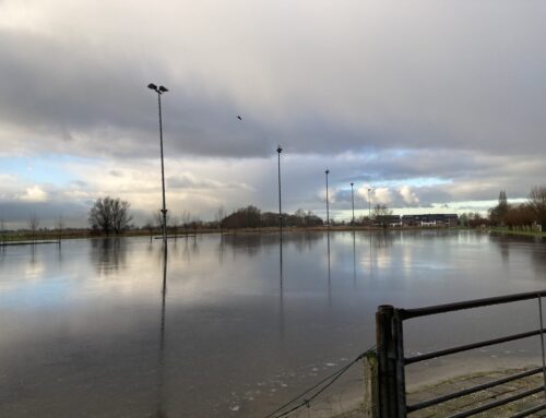 IJsbericht 12-01-2025. Nul graden en regen!