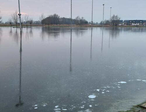 IJsbericht 14-01-2025. Verbazing alom!