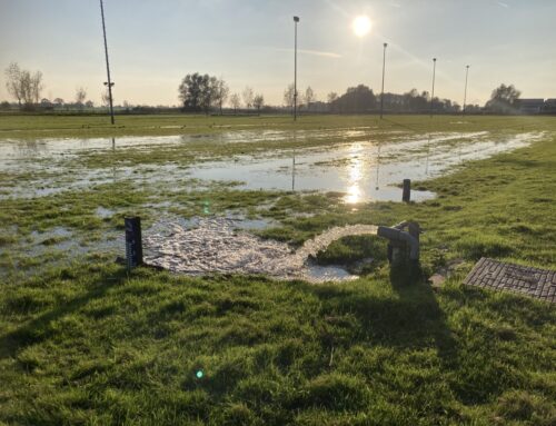 Nieuwsbericht 03-11-2024: We kunnen weer dromen!